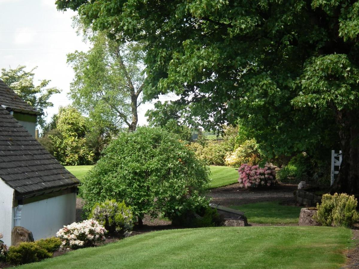 Whitehouse Bed & Breakfast Uplawmoor Luaran gambar